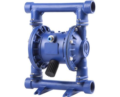 Del motore elettrico di QBY3-10 QBY3-10 non non pompa a diaframma l'acqua di irrigazione